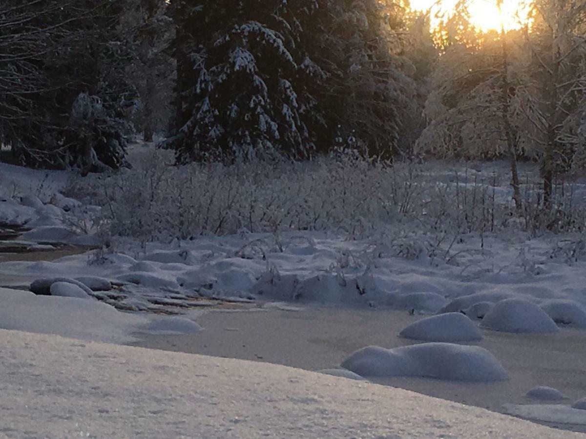 Seinaejoen Leirintaealue Hotel Seinajoki Bagian luar foto